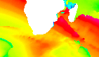 surf report