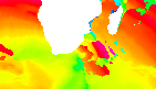 surf report
