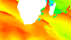 surf report
