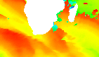 surf report