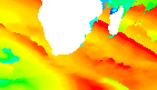 surf report